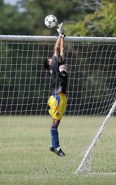 吸引流量的 吸引流量的