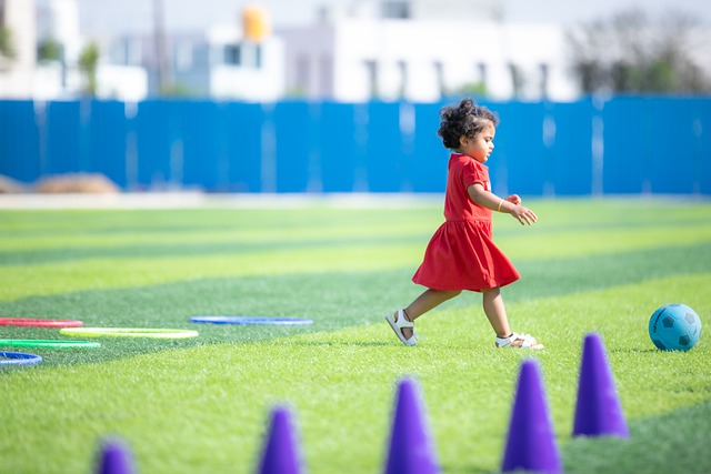 的進攻能力 的進攻能力