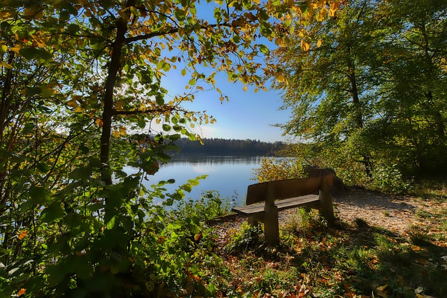 的表现中找 的表现中找