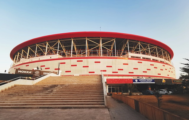 也开始注重 也开始注重