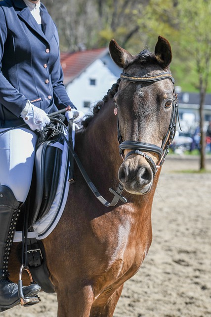 哈登则以其 哈登则以其