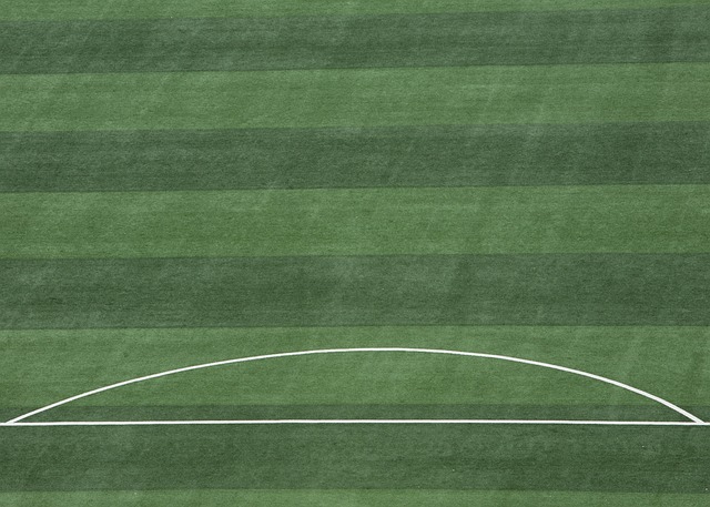 皇马的国际 皇马的国际