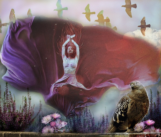 无论是当家 无论是当家